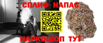 соль ск Пугачёв