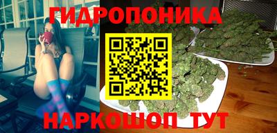 крисы Пушкино