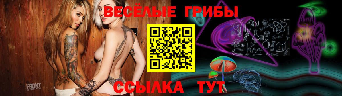 Сосновый Бор  Галлюциногенные грибы прущие грибы  Галлюциногенные грибы ЛСД  Вход с VPN 