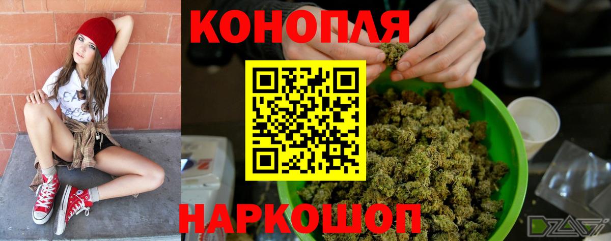 Бошки марихуана Bruce Banner Сосновый Бор