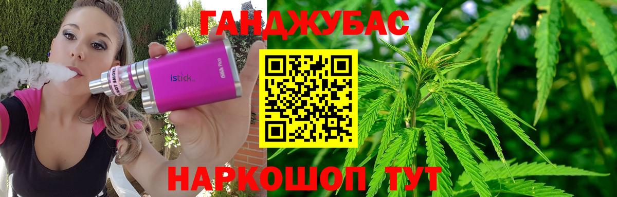 Бошки Шишки план  Конопля конопля  Вход с VPN  Сосновый Бор  Бошки марихуана индика 